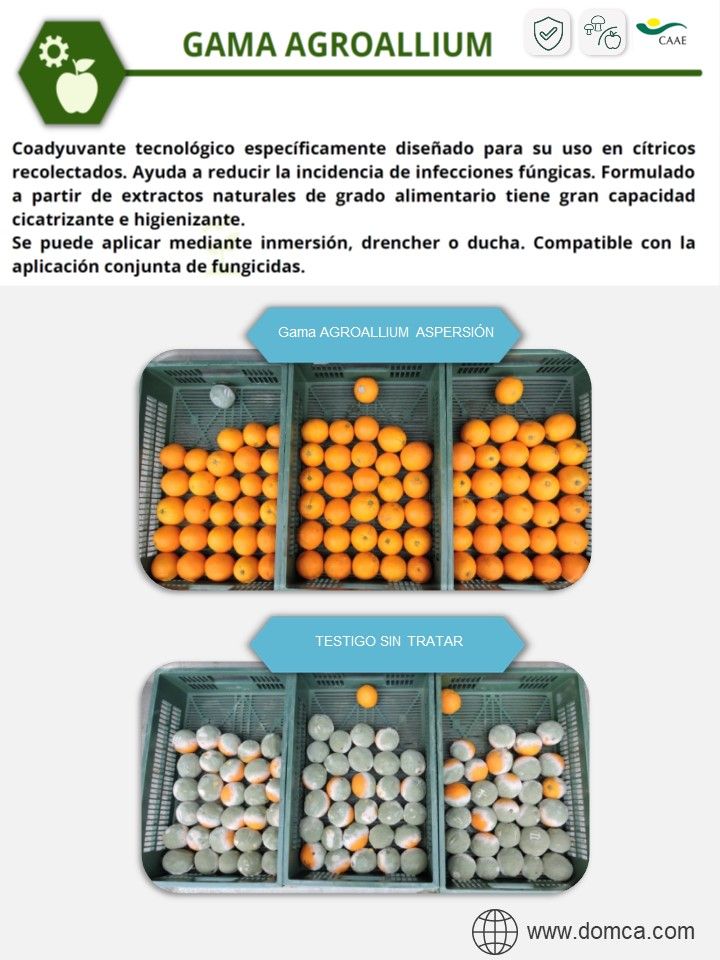Gama agroallium.jpg